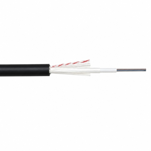 [35GTFO12G652DE2F] FO 12 SM 9/125 Cable, External Dielectric, 2FRP, G652D